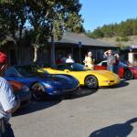 Cambria_0455 (November 01, 2013)